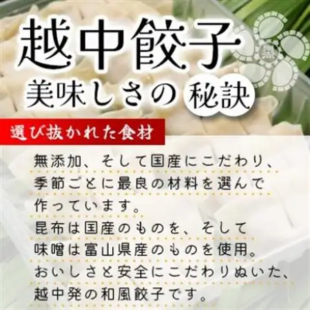 黒部名水ポーク入り越中餃子　3パック(48個入り)_惣菜・加工品 餃子  ぎょうざ ギョウザ_【配送不可地域：離島】【1558250】