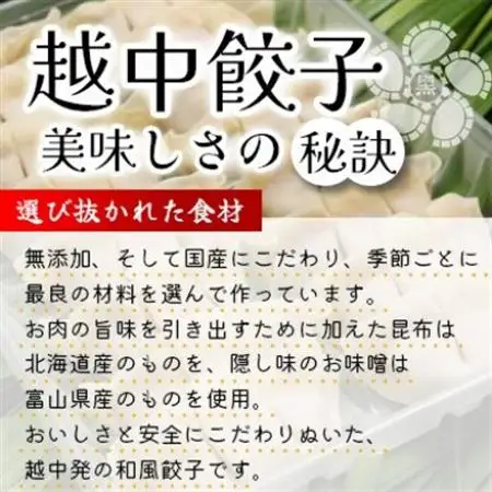 氷見牛入り越中餃子　3パック(48個入り)_惣菜・加工品 餃子  ぎょうざ ギョウザ_【配送不可地域：離島】【1558389】