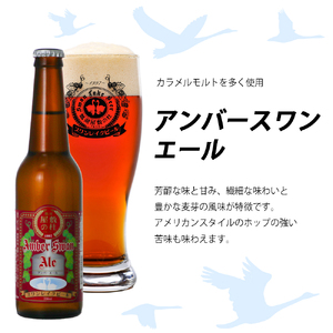 ビール スワンレイクビール 世界一金賞受賞入ビール8本&白龍酒造特撰大吟醸2本 詰め合わせ 阿賀野市 新潟県 阿賀野 クラフト 飲み比べ クラフトビール 地ビール ビール お酒 酒 日本酒 ギフト プレゼント 贈答 贈り物 お中元 お歳暮 のし対応 熨斗 父の日 1S31023