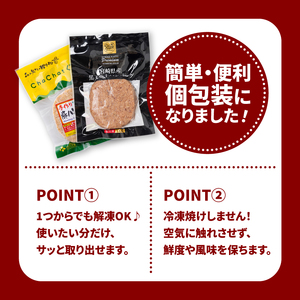 宮崎県産黒毛和牛100%ハンバーグ個包装(10個/冷凍)・ 宮崎県産ポークハンバーグ個包装(10個/冷凍)　K16_0157