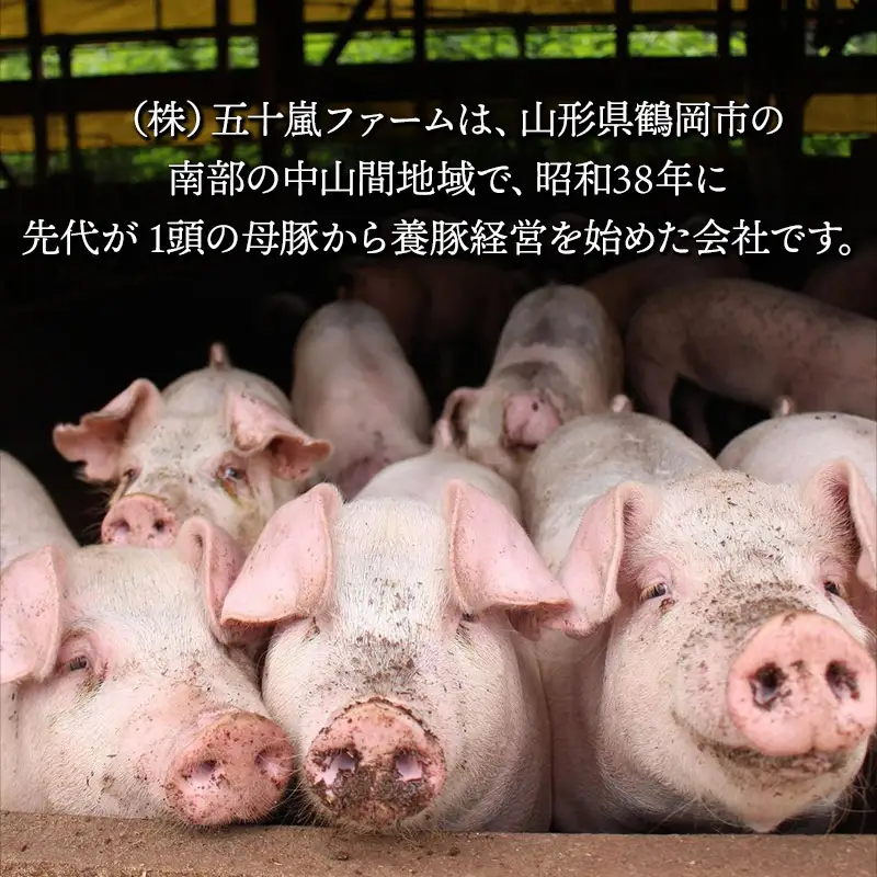 【数量限定】【2025年2月上旬仕込み】 黄綬褒章受章 「NEWあつみ豚」 生ハム原木（7～8kg）　株式会社五十嵐ファーム
