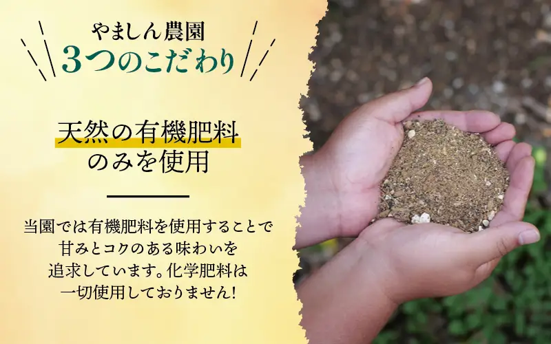 有田 みかん 訳あり 2kg 光センサー 選別 / 温州みかん 有田みかん 甘い 家庭用 和歌山 柑橘 ※2026年12月順次発送 ※北海道・沖縄・離島への配送不可 【nuk004-c-2-decH】