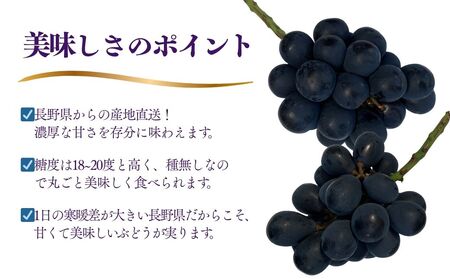 【2026年先行予約】訳あり ナガノパープル 家庭用 約2kg（4~6房）※最低1.8kg以上 ｜ ぶどう ぶどう