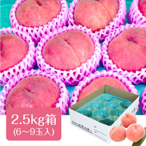 A-115【2026年発送先行予約】桃　なつっこ　約2.5kg【6～10玉】※2026年発送先行予約分※　農家直送　もも