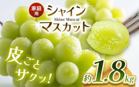 【ご家庭用】 【数量限定】 農家さん応援企画！！ 【2026年先行予約】 シャインマスカット 1.8kg ≪2026年9月下旬～順次発送≫ 塩尻市産