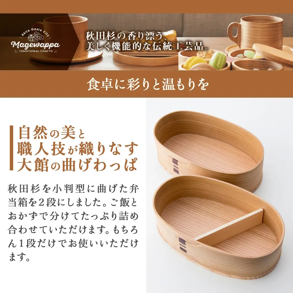 曲げわっぱ 小判弁当 2段　305P6004