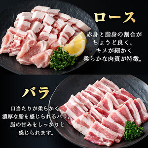 かごしま 味わい 黒豚 焼肉 ファミリーパック(合計3.6kg)【KNOT】A557-v01
