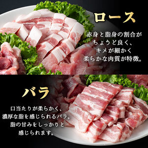 鹿児島県産 豚肉 霜降り トロ豚 焼肉 バラエティ セット(合計1kg)【KNOT】 A564