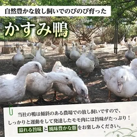 かすみ鴨モモ肉　1羽分×2パック(計2羽分)_鴨肉 かすみ鴨 モモ肉 かも_【配送不可地域：離島】【1563884】