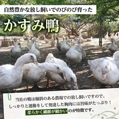 かすみ鴨むね肉　1羽分(800g～900g程度)_鴨肉 かすみ鴨 むね肉 かも_【配送不可地域：離島】【1563885】