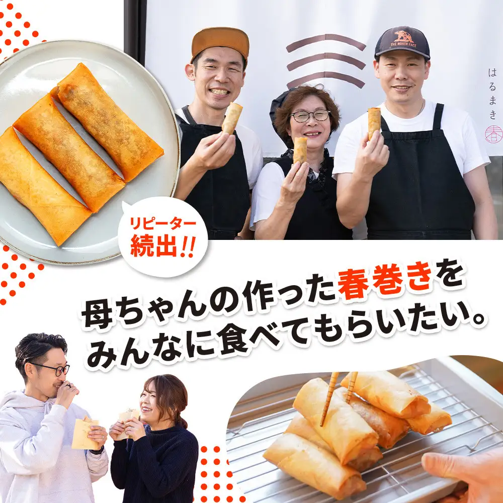 リピーター続出!!　金澤春巻き 4種詰め合わせ 11袋