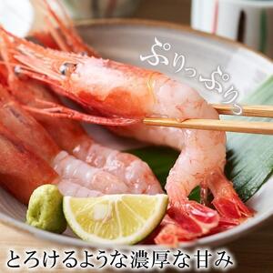 金沢港産 冷凍 甘えび 約500gパック×2 エビ
