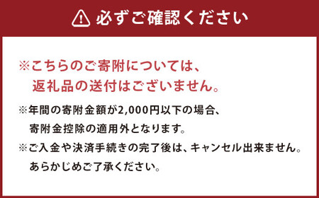 【ふるさと納税】熊本県人吉市への寄附（返礼品はありません）1口20,000円