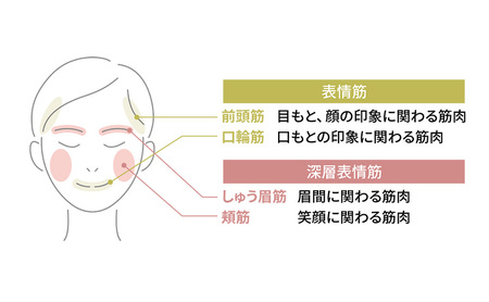 美顔器 RF美顔器 フォトプラス プレステージ SP ヤーマン 美容家電 美容 スキンケア