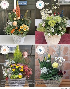 季節のおまかせ テラコッタ 寄せ植え ギフト 花 お花 鉢花 花苗 贈り物 お祝い プレゼント ガーデニング フラワー ギフト