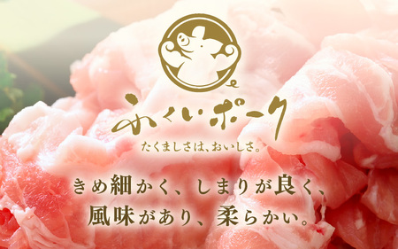【ブランド豚】 ふくいポーク 切り落とし 500g  冷凍 国産豚肉 [e02-a030]