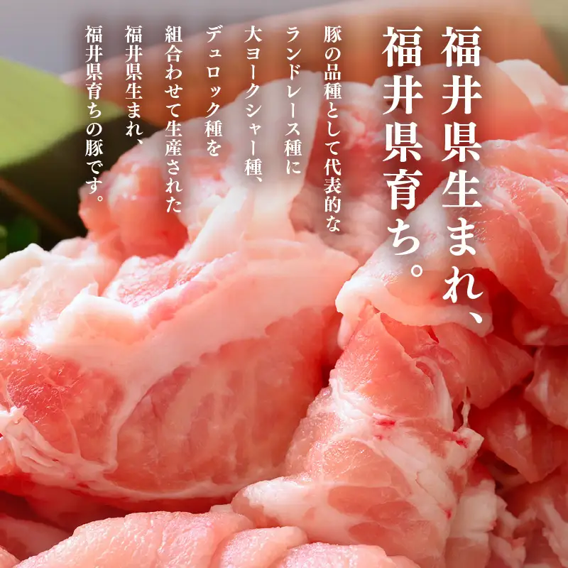 【ブランド豚】ふくいポーク 切り落とし 2kg 国産豚肉 冷凍  [e02-a032]