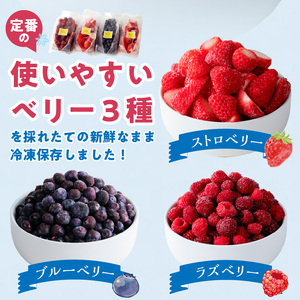 冷凍ベリー3種詰合せ（ストロベリー500g・ラズベリー250g