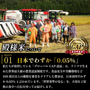 【定期便】令和7年産 新潟県産 越後菅谷殿様米 5㎏ 6ヵ月 30kg 玄米 新潟県 新潟産 新発田産 米 コシヒカリ 特別栽培米 越後菅谷米販売 5kg 6ヵ月 定期便 殿様 数量限定  D16_03