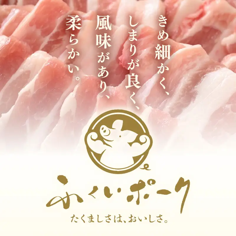 【ブランド豚】ふくいポーク 豚バラ焼肉 600g（300g × 2パック）国産肉 冷凍 [e02-a033]