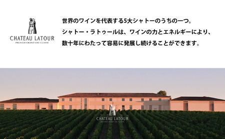 【随時出荷】FD103 福智山ダム熟成 Grand Vin 最高級 赤ワイン シャトー・ラトゥール 750ml 熟成ワイン ワイン 酒 お酒