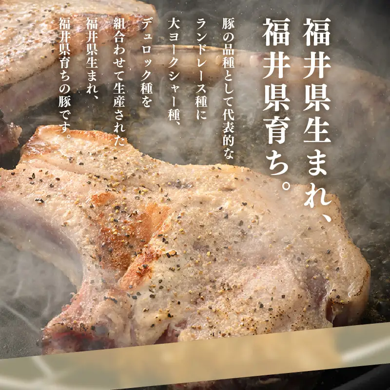 【ブランド豚】ふくいポーク ポークチョップ 骨付き豚ロース 6本 計約2kg）国産肉 冷凍 [e02-b020]