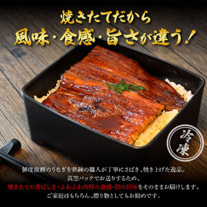 ★最終月きざみうなぎ1袋付き★特選うなぎの蒲焼き（冷凍）2尾 12ヶ月定期便 タレ付き 山椒付き ヤマシン