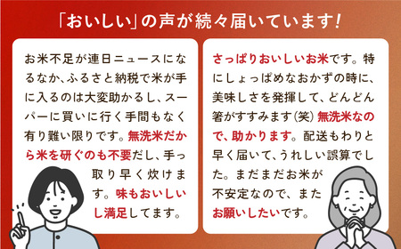 無洗米 令和7年産 ひとめぼれ 10kg ｜ 無洗
