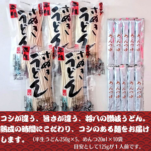 讃岐うどん（半生めん）つゆ付 10人前 　※配送不可：沖縄・離島
