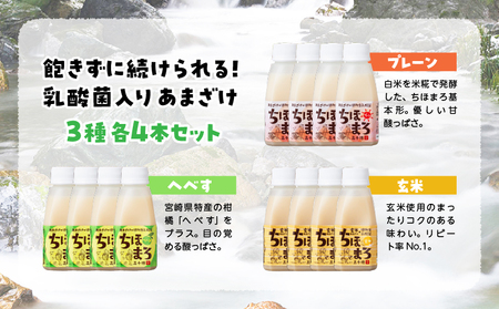 乳酸菌入りあまざけ ちほまろ 150g　12本セット【プレーン へべす 玄米】 ノンアルコール 贈答 贈り物 おすそ分け 日課 ドリンク 無添加 無加糖 飲み物 乳酸飲料 飲料 宮崎県 高千穂町 _Tk015-017-b12