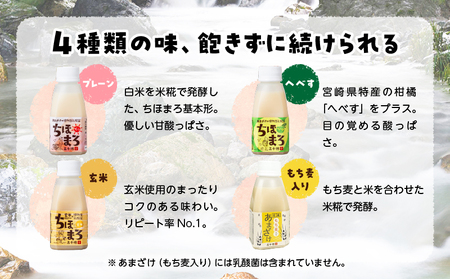 乳酸菌入りあまざけ ちほまろ 150g　12本セット【プレーン へべす 玄米 もち麦】 ノンアルコール 贈答 贈り物 おすそ分け 日課 ドリンク 無添加 無加糖 飲み物 乳酸飲料 飲料 宮崎県 高千穂町 _Tk015-017-k12
