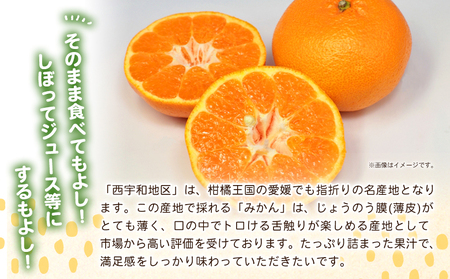 先行予約＜愛媛県西予市産 温州みかん 大玉サイズ 家庭用 約9kg＞ 愛媛県産 西宇和 大玉 大きめ 家庭用 果物 フルーツ 柑橘 うんしゅうみかん ウンシュウミカン オレンジ ミカン 蜜柑 訳あり 小林果園 愛媛県 西予市 【常温】『2026年11月上旬～12月中旬迄に順次出荷予定』OKE0002