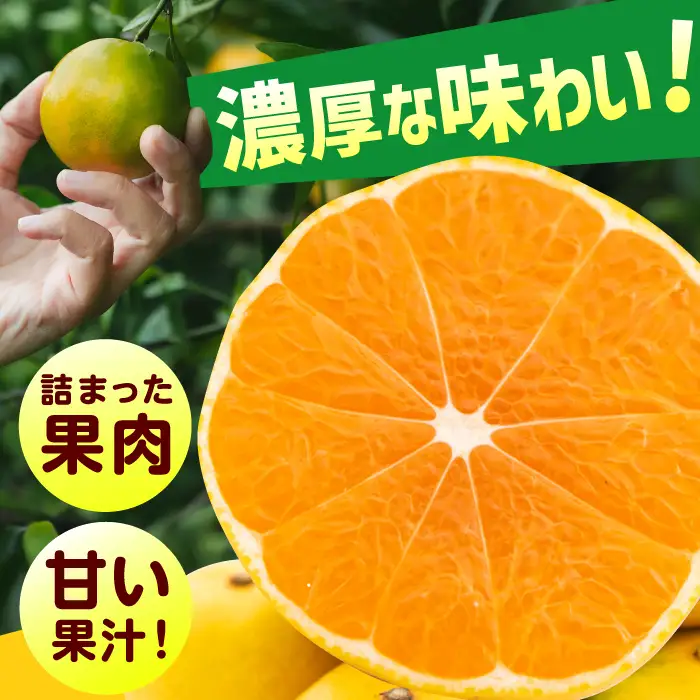 【★先行予約★ 2026年9月下旬より発送】早味かん 約5kg / みかん 蜜柑 果物 フルーツ[AFAB075]