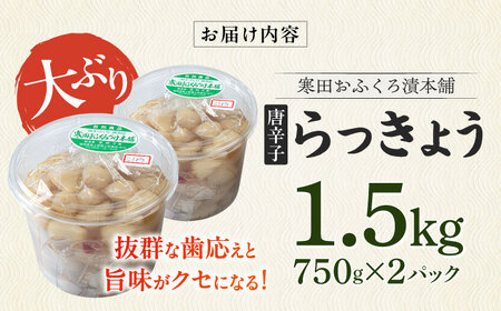 【2026年7月中旬以降順次発送】らっきょう 1.5kg（唐辛子） [ABDO003]らっきょう 