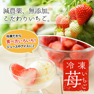 No.1183 冷凍いちご(計約2.55kg・約850g×3P) 国産 九州産 苺 いちご イチゴ 冷凍 果物 フルーツ 減農薬 アイス【片平観光農園】