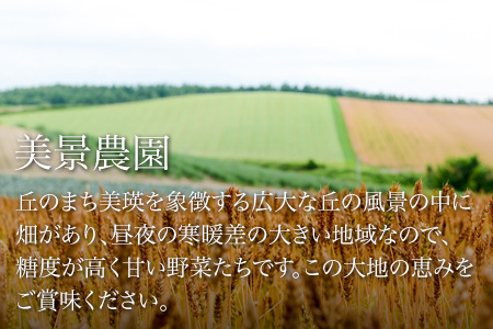 野菜セット 秋の味覚6点 旬の野菜 詰め合わせ ≪令和８年産予約受付！≫   [017-67]