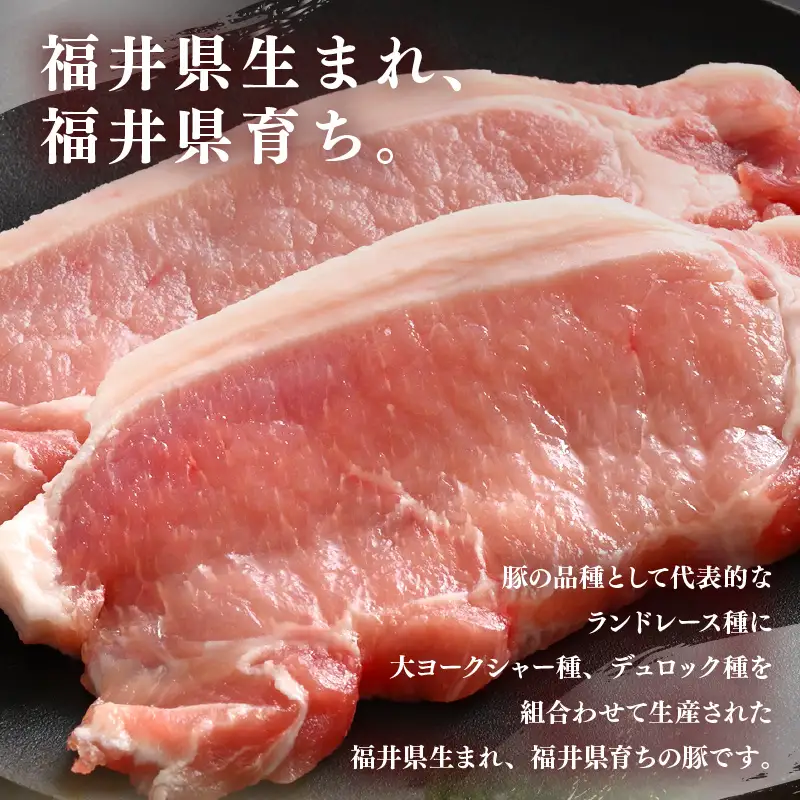 【ブランド豚】ふくいポーク ロース 100g × 2枚 計200g 国産豚肉 冷凍 カツ [e02-a039]