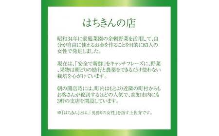 【ふるさと納税】＜はちきんの店 野菜 セット 7～10品＞ 野菜詰め合わせ 詰合せ 高知の野菜 旬の野菜【冷蔵】高知県 佐川町