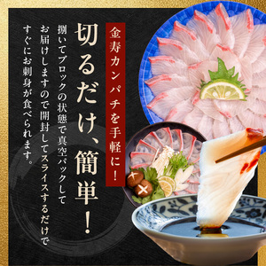 金寿カンパチ600ｇアラ付き（刺身用ブロック＋アラ付き） N015-YB091