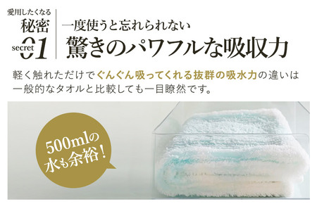 （今治タオルブランド認定品）ASiTA BALANCE シリーズ フェイスタオル２枚セット ブルー【I002170FT2B】