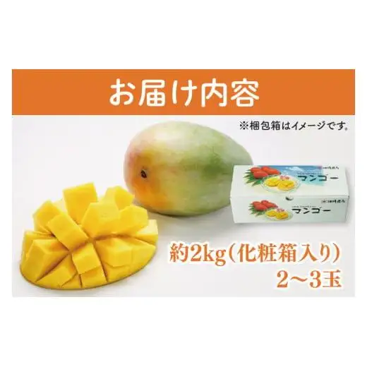 菜々色畑のキーツマンゴー 2～3玉(約2kg)【化粧箱】