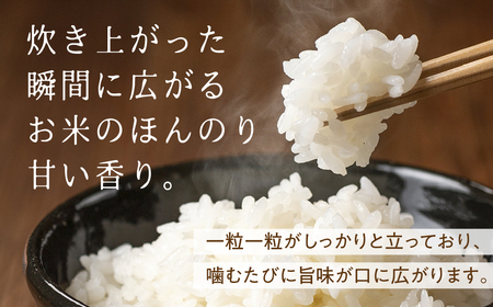 令和8年産 米コシヒカリ 1kg / 米 5000円 岩塚農園