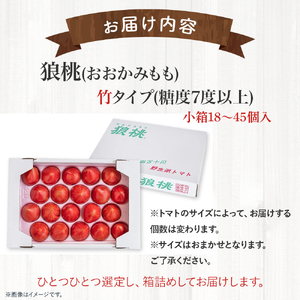 【先行予約／2027年2月下旬から発送】四万十育ち「狼桃」 糖度7度以上　竹タイプ（18～45個入）小箱 Fdf-A07／フルーツトマト トマト