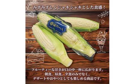 【2026年6月～7月発送】 ホワイトコーン 彩コーン 約4kg 白いとうもろこし とうもろこし 京都とうもろこし 甘いとうもろこし フルーティーなとうもろこし