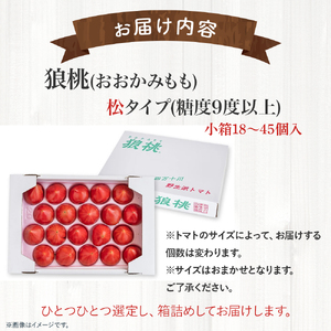 【先行予約／2027年3月中旬から発送】四万十育ち「狼桃」 糖度9度以上 松タイプ 小箱（18～45個入） Fdf-A09 フルーツトマト トマト