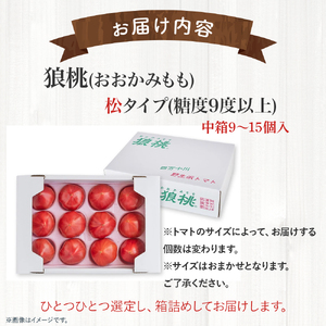 【先行予約／2027年3月中旬から発送】四万十育ち「狼桃」 糖度9度以上 松タイプ 中箱（9～15個入）Fdf-A10 フルーツトマト トマト