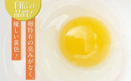 【全3回定期便】平飼いニワトリの有精卵！ほんまの卵定期便 計120個（40個×3回） / 佐賀県 / 本間農園 [41AJAA021]