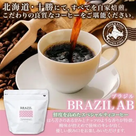 熨斗 コーヒー豆 ブラジル 100g 2袋 鮮度を高めたスペシャルティコーヒー 北海道 帯広市_飲料・ドリンク コーヒー豆 コーヒー・コーヒー豆 珈琲 珈琲豆_【1555311】
