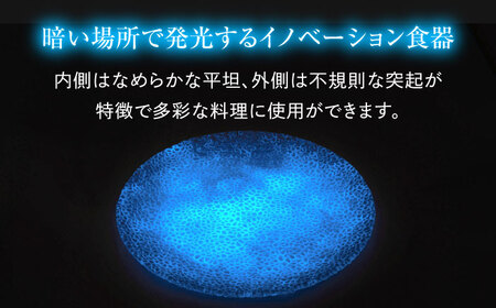 ルミナスシリーズ プレート (小) ブルー 【暗闇に輝く、卓上の新たな魔法】 多治見市 / 丸モ高木陶器 ガラス 皿 食器 化粧箱入り[TBA212]