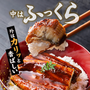 国産うなぎの蒲焼き 2尾 _T08006
